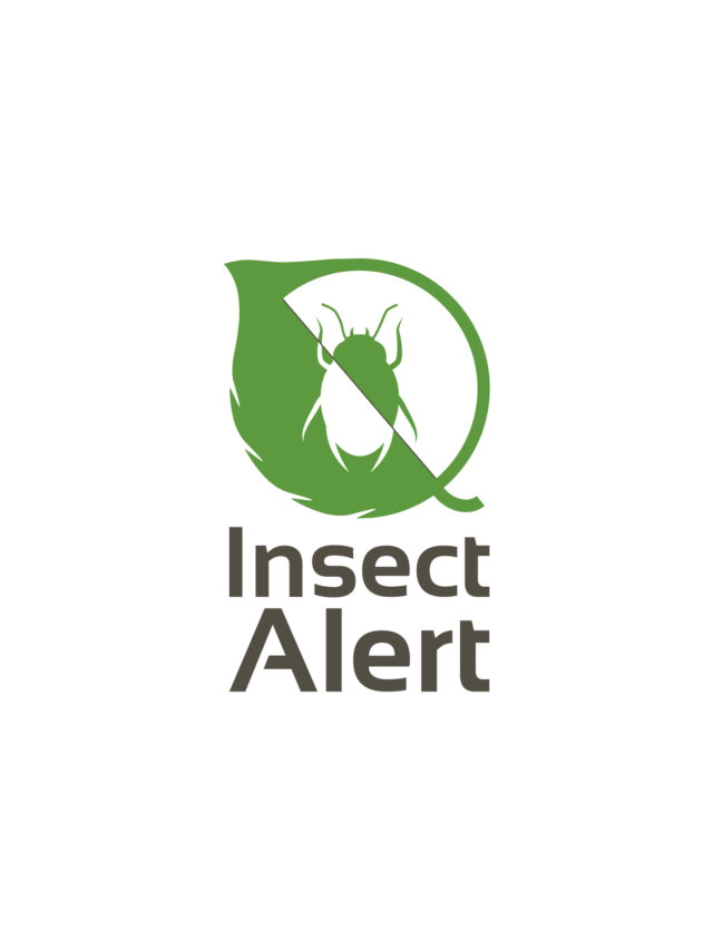 insect-alert